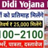 Gogo didi Yojana Apply form